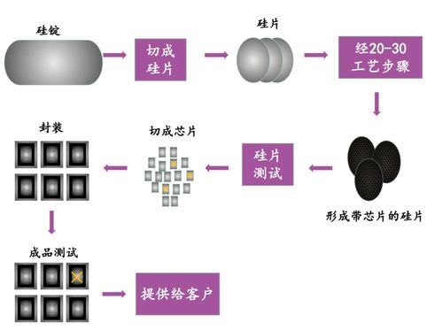 芯片 汽車 新能源 生物醫(yī)藥,那些上海關鍵產業(yè)還好嗎